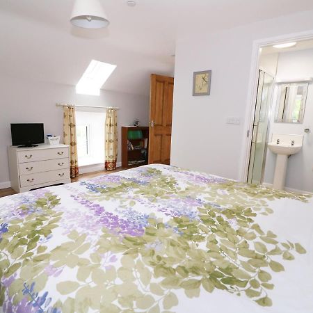 Vila Cilgwyn Bach Llandysul Exteriér fotografie